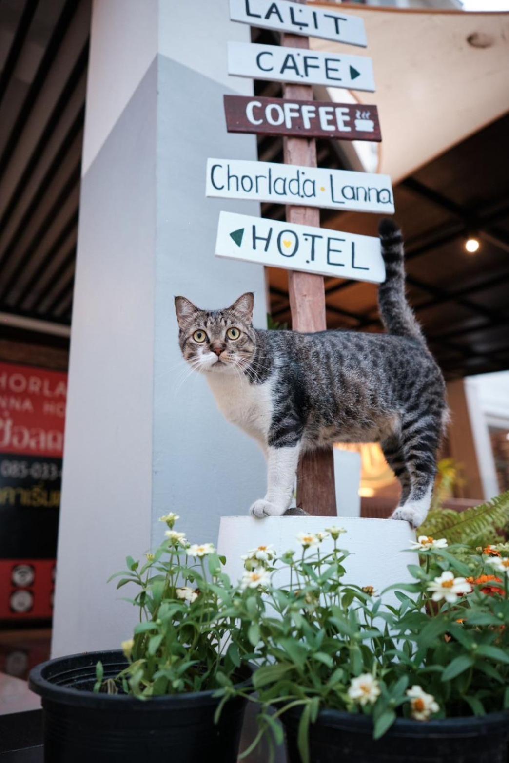 Chorlada Lanna Hotel Chiang Mai Luaran gambar